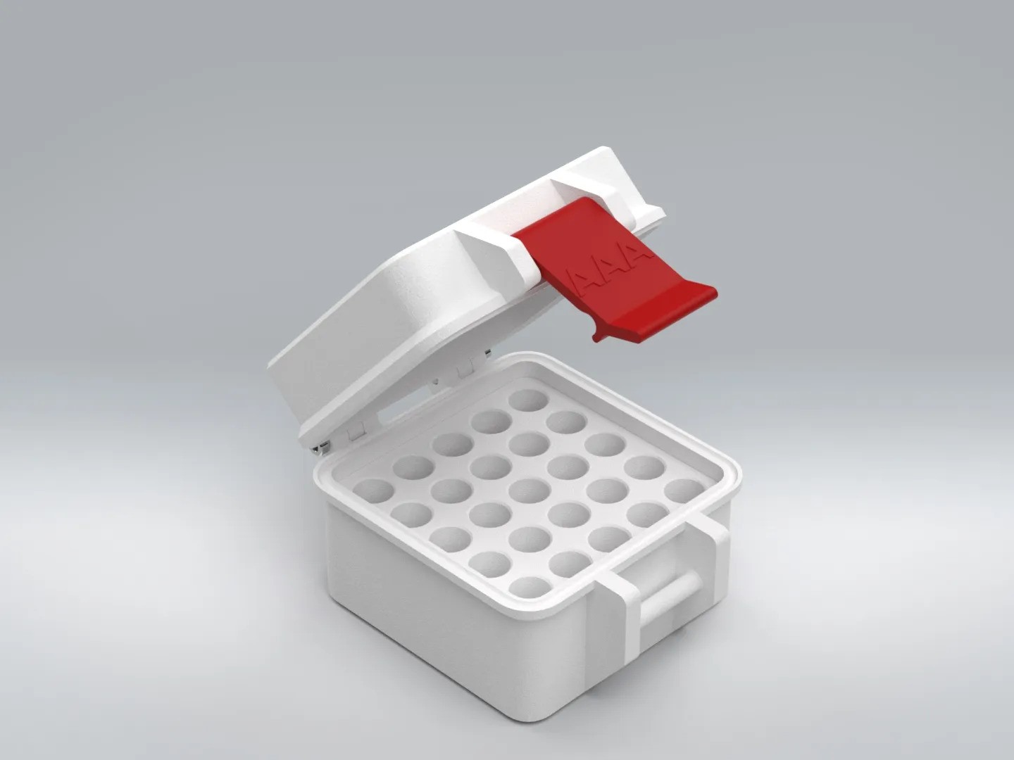 AAA Battery Storage Box with Snap Lid, Compact Battery Organizer & Travel Case